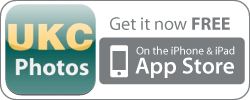 UK Top Photos App