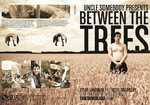 [Between The Trees DVD Cover, 4 kb]