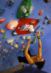 [BMC Climbing Wall Survey 2010 - WIN &pound;1000! #1, 4 kb]
