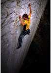 [The LowDown: Bollinger repeats Speed, 8c+, 2 kb]