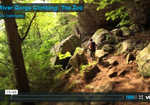 [Red River Gorge Video, 4 kb]