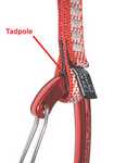 [Tadpole 10mm & 12mm Dyneema Express Slings #1, 3 kb]