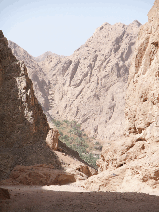 Wadi Gnai, Dahab