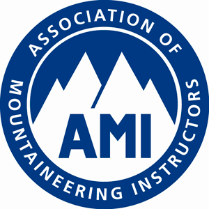 AMI Logo