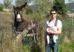 Chris Savage on holiday in Yorkshire with his baby daughter Ciara (and a friendly mule!), 4 kb