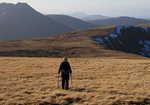 The Freevater Forest, one of Scotland's wildest areas. Is it properly valued and protected?, 3 kb