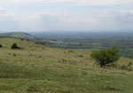 South Downs landscape, 2 kb