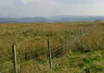 Brecon Beacons Fence, 3 kb