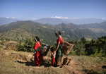Nepalese women carrying water, 3 kb