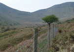 The controversial Brecon Beacons fence, now removed, 3 kb