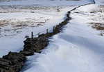 Swarth Fell: Right of the wall it's National Park, left it isn't, 3 kb