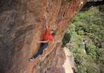 Alex Megos on Sneaky old fox, 8c+, Diamond falls, Blue Mountains, Australia, 4 kb