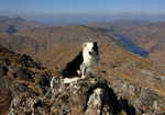 Loch Beoraid from Sgurr an Utha on a hazy April morning with ma wee pal., 3 kb